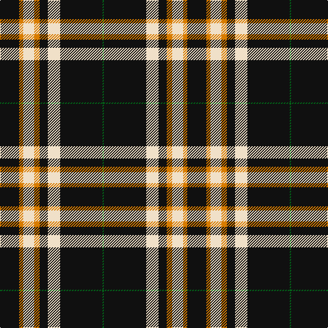 K/28 O6 W16 O8 K12 W18 K62 G/2 tartan Tartan detail