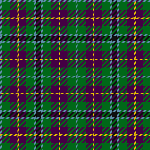 B/6 G26 DP24 Y4 DP24 G26 B6 K/16 tartan Tartan detail