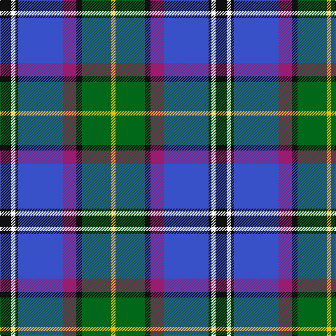 K/16 W6 K4 B64 P19 K8 G42 Y/6 tartan Tartan detail