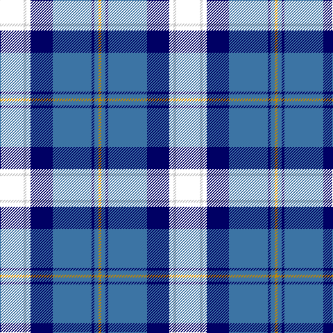 BB/34 N4 BB6 DB32 B56 DB4 B6 DY/4 tartan Tartan detail