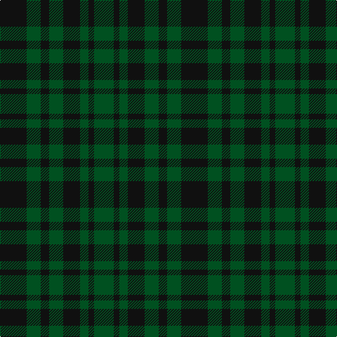 G/28 K8 G12 K24 G20 K12 G20 K/38 tartan Tartan detail