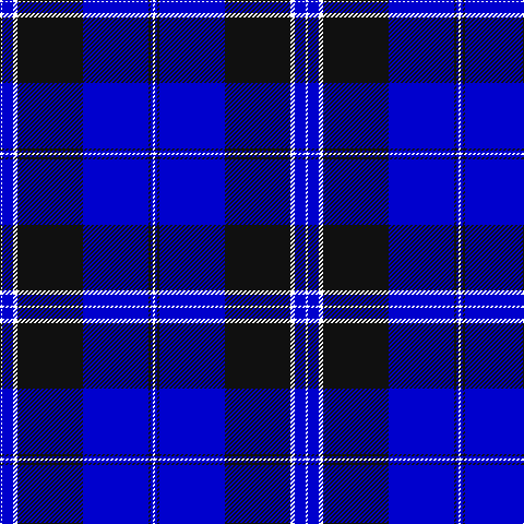 Y/2 B10 W4 K60 B60 K2 B2 G/2 tartan Tartan detail