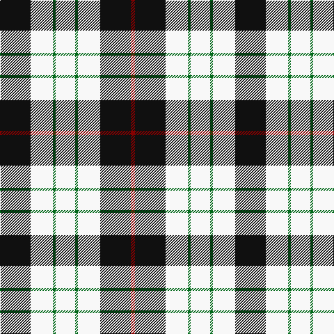 K/44 W32 G4 W28 G4 W32 K44 DR/6 tartan Tartan detail