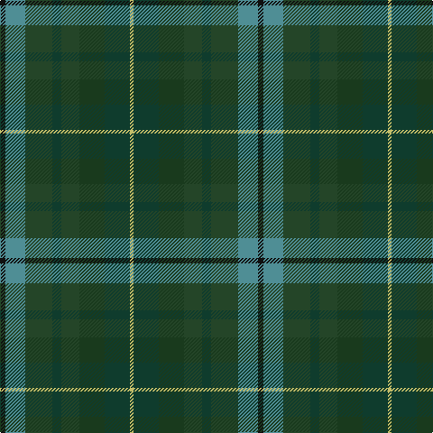 K/6 B22 DG30 DGa10 DG20 DGb28 DGa28 LG/4 tartan Tartan detail