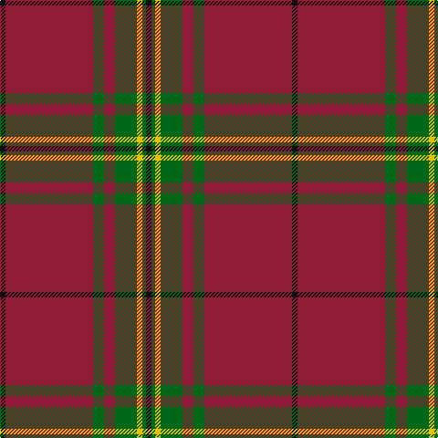 K/6 DR96 G12 DR12 G24 Y6 G4 K/6 tartan Tartan detail