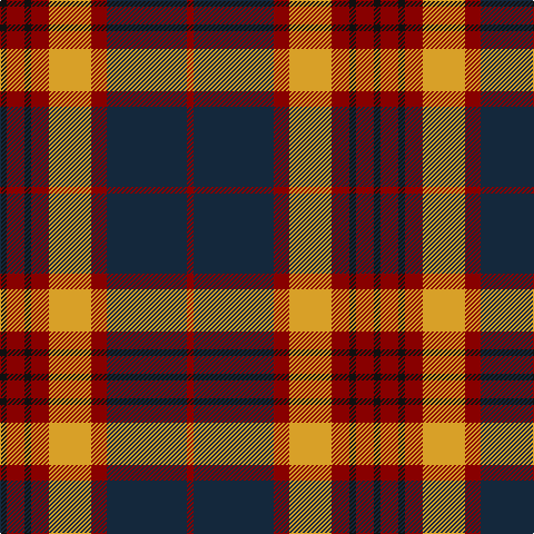 DR/6 DN72 DR14 Y38 DR16 K6 DR16 K/6 tartan Tartan detail