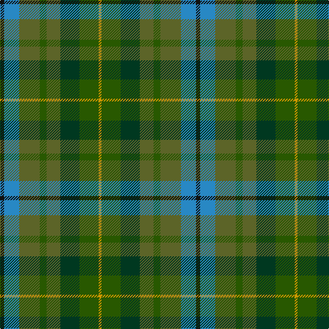 K/6 B22 G30 Ga10 G20 DG28 Ga28 DY/4 tartan Tartan detail