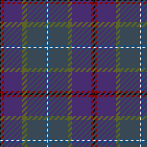 K/4 DB2 DR7 DB60 G15 N60 B5 LN/3 tartan Tartan detail