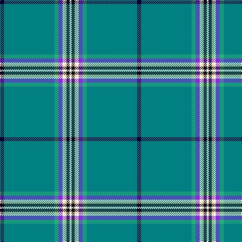 DB/8 B100 Ba8 P8 W4 LR4 K6 W/4 tartan Tartan detail