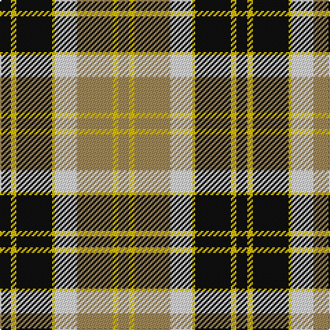 K/8 Y4 K26 Y2 LN16 LT26 Y4 LT/8 tartan Tartan detail