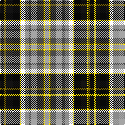 K/8 Y4 K26 Y2 W16 N26 Y4 N/8 tartan Tartan detail