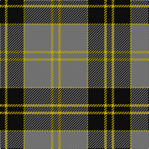 K/8 Y4 K26 Y2 N16 N26 Y4 N/8 tartan Tartan detail