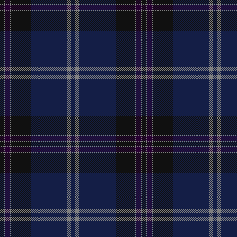 K/8 N2 DP10 N2 K40 DB74 N8 DB/8 tartan Tartan detail