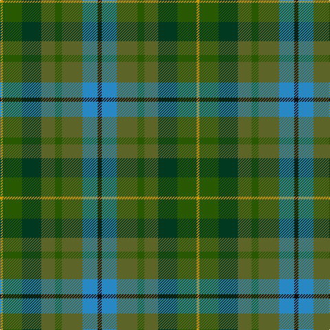 DY/4 Ga28 DG28 G20 Ga10 G30 B22 K/6 tartan Tartan detail