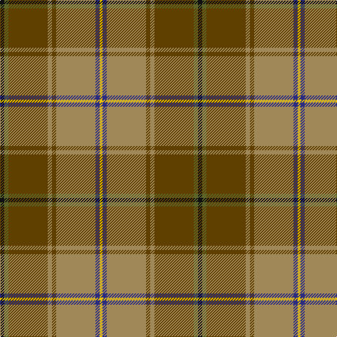 K/6 G6 T56 LT6 T6 LT56 DB6 Y/4 tartan Tartan detail