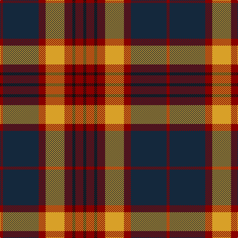 DR/6 DN72 DR14 Y38 DR16 K6 DR16 K/6 tartan Tartan detail