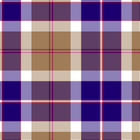 B/6 R4 DB60 R2 W36 LT60 R4 LT/6 tartan Tartan detail