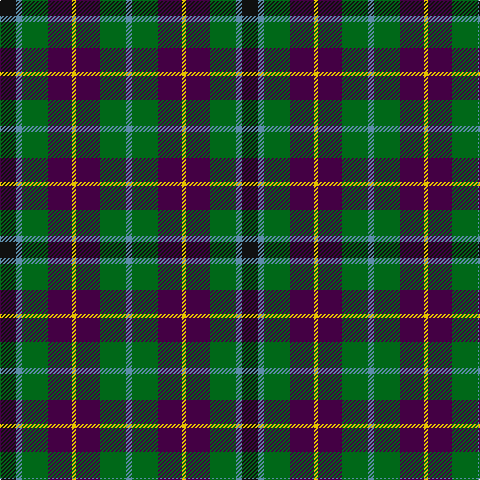 K/16 B6 G26 DP24 Y4 DP24 G26 B/6 tartan Tartan detail