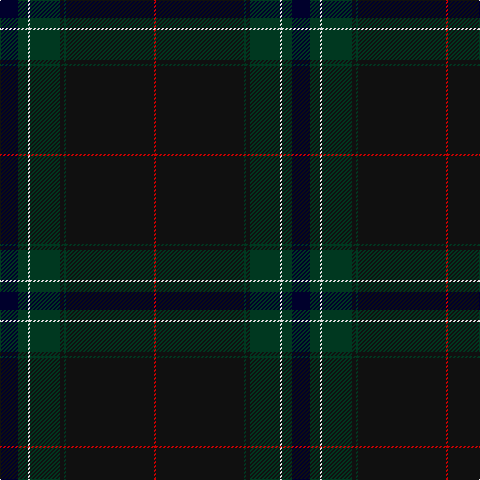DB/18 DG10 LN2 DG30 K4 DG2 K88 R/2 tartan Tartan detail