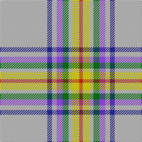 N/80 DB8 N8 P10 G10 N6 Y12 R/6 tartan Tartan detail