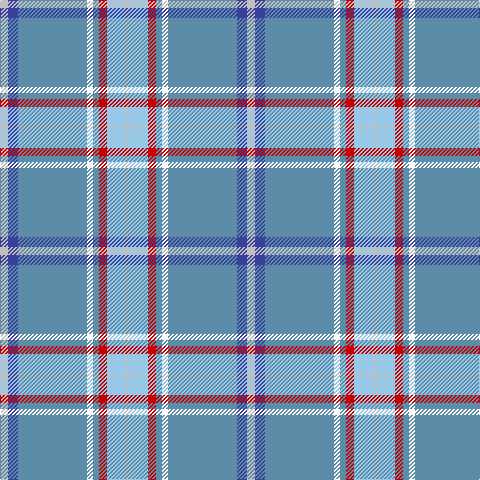 N/8 Ba10 B69 W6 B6 R8 LB19 N/3 tartan Tartan detail