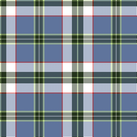 LG/4 K18 DR32 R4 B60 LG6 K12 W/2 tartan Tartan detail