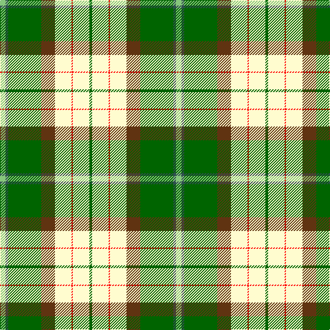 LG/8 N4 G48 T20 LY24 R2 LY24 G/4 tartan Tartan detail