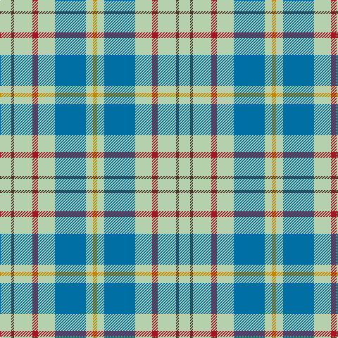 N/16 T4 N26 DR8 N24 B44 N10 DY/6 tartan Tartan detail