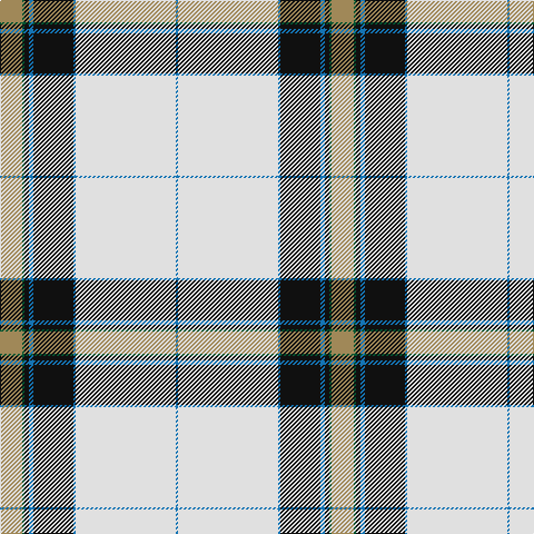 Ba/2 LN90 B2 K36 Ba4 K4 G2 LT/20 tartan Tartan detail