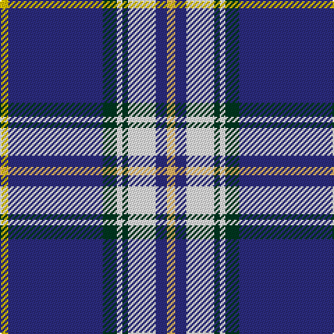 Y/6 DB68 DG10 W4 DG4 W20 DB8 LG/6 tartan Tartan detail
