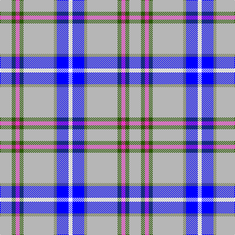 N/24 G8 LR8 G8 N62 Ga6 B24 W/8 tartan Tartan detail