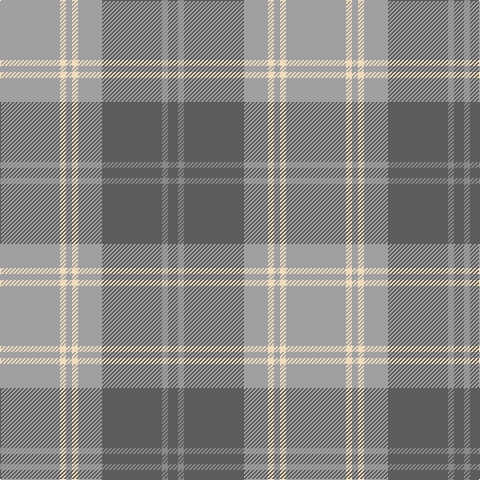 Na/60 W6 Na6 W6 Na24 N60 Nb6 N/10 tartan Tartan detail