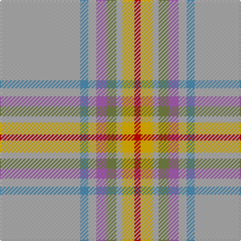 N/80 B8 N8 LP10 G10 N6 Y12 DR/6 tartan Tartan detail