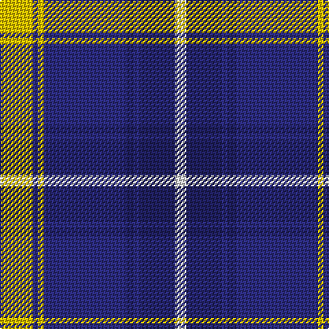Y/24 DB4 Y4 DB60 DBa6 DB4 DBa26 LN/8 tartan Tartan detail