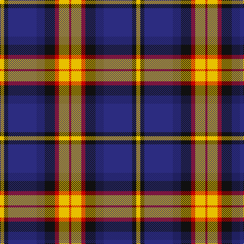 R/4 Y20 R8 K20 DBa16 DB56 K8 Y/8 tartan Tartan detail