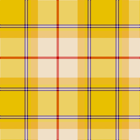 Y/84 DB4 W4 DB4 Y10 Ya24 W64 R/8 tartan Tartan detail