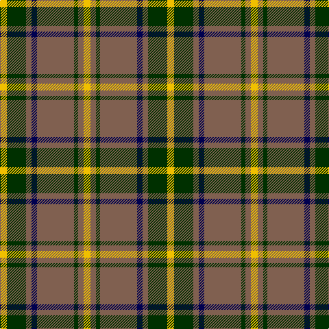 Y/10 DG28 LT8 DB8 LT54 DG6 LT8 Y/10 tartan Tartan detail