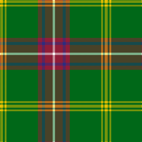 Y/10 G6 Y6 G106 DR14 DB10 DR26 W/8 tartan Tartan detail