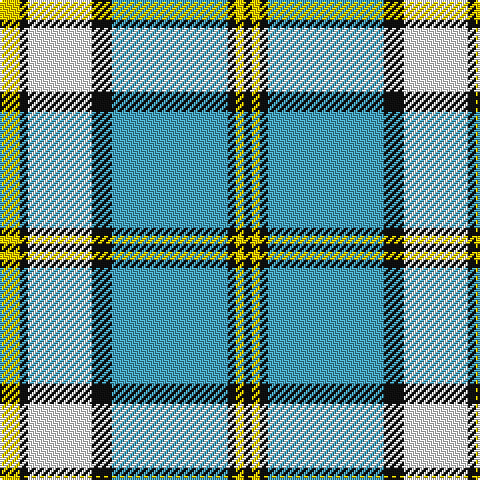 Y/10 K4 W32 K10 B58 K4 Y4 K/4 tartan Tartan detail