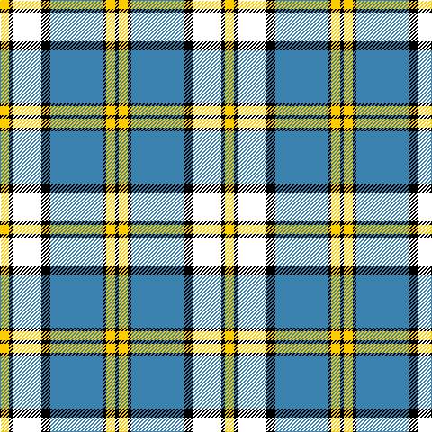 Y/10 K4 W32 K10 B58 K4 Y10 K/4 tartan Tartan detail