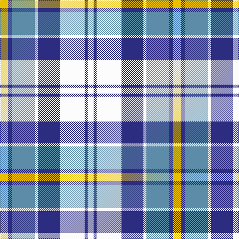 W/12 DB6 W50 DB44 W6 B46 DB8 Y/16 tartan Tartan detail