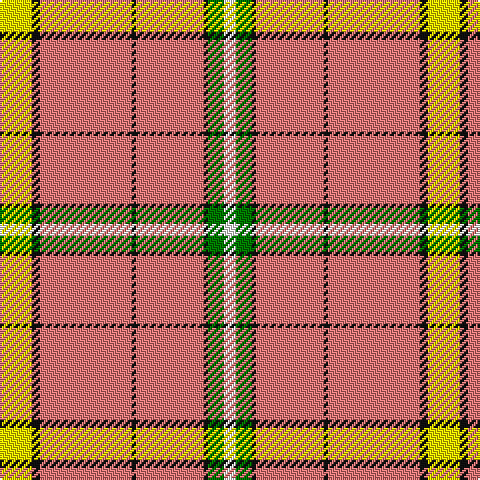 W/6 G8 K2 LR34 K2 LR46 K4 Y/16 tartan Tartan detail