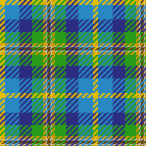 Y/16 B48 DB42 G36 DY8 N6 T4 LG/2 tartan Tartan detail
