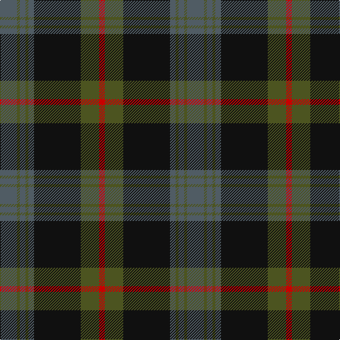 N/24 G4 N8 G4 N8 K66 G26 R/8 tartan Tartan detail