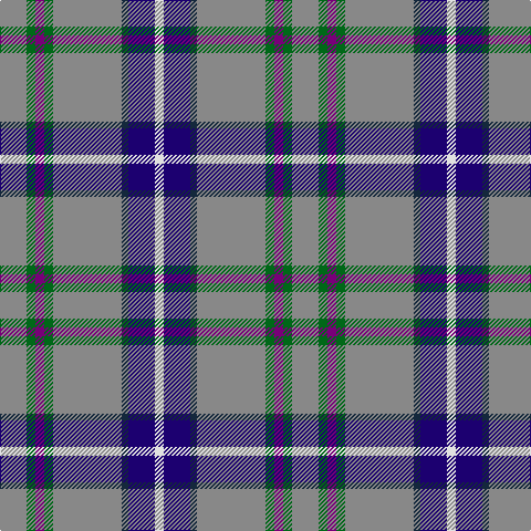N/24 G8 P8 G8 N62 DN6 DB24 LN/8 tartan Tartan detail