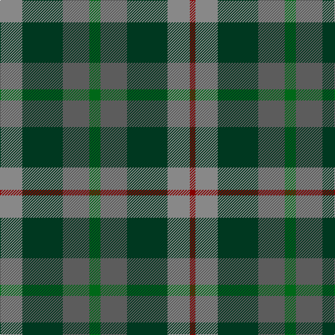 DRa/8 Nb32 DG58 Na38 G16 Na38 DG58 Nb/32 tartan Tartan detail