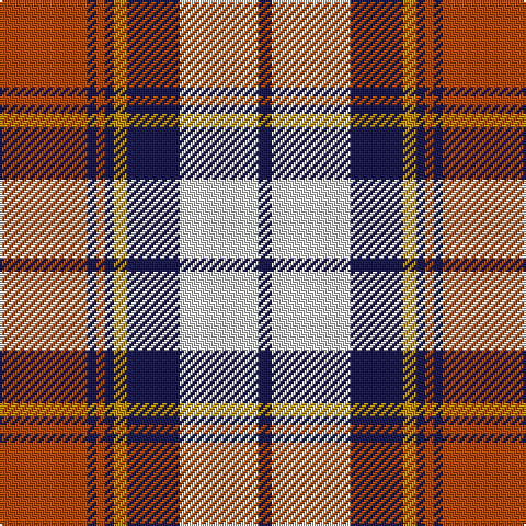 DO/40 DB4 DO4 DB4 DY6 DB24 LN36 DB/6 tartan Tartan detail