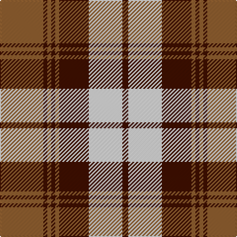 LT/44 DR4 LT4 DR4 LT4 DR30 LN34 DR/6 tartan Tartan detail