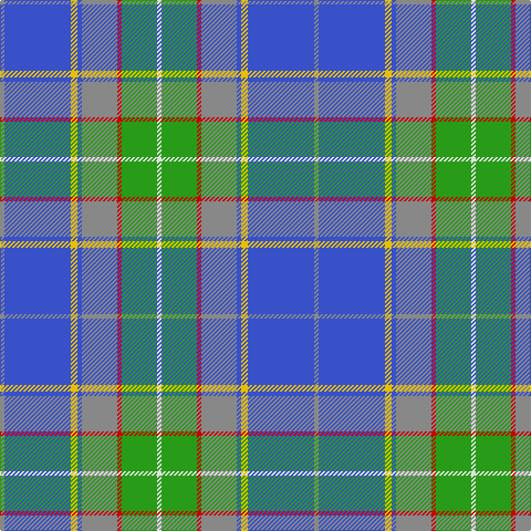 N/4 B60 Y6 B4 N32 R4 G32 LN/4 tartan Tartan detail