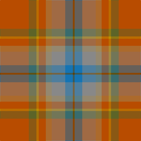 DO/98 G26 DY8 DO24 LT20 N46 B26 T/6 tartan Tartan detail